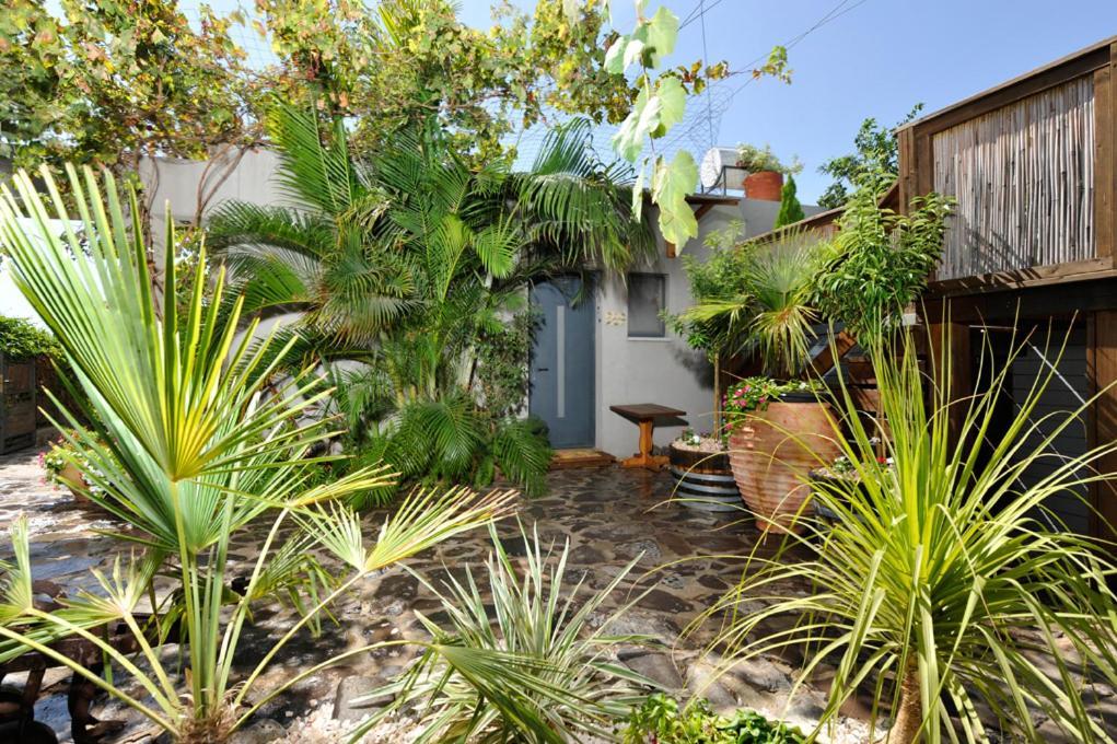 Vila Nichochot Provence CChad Nes Exteriér fotografie