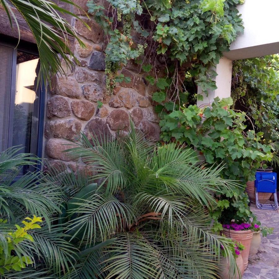 Vila Nichochot Provence CChad Nes Exteriér fotografie